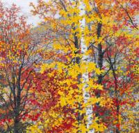 AM)_Fall_in_New_Hampshire_5852.JPG